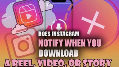 Does Instagram Notify When You Download Reels or Stories