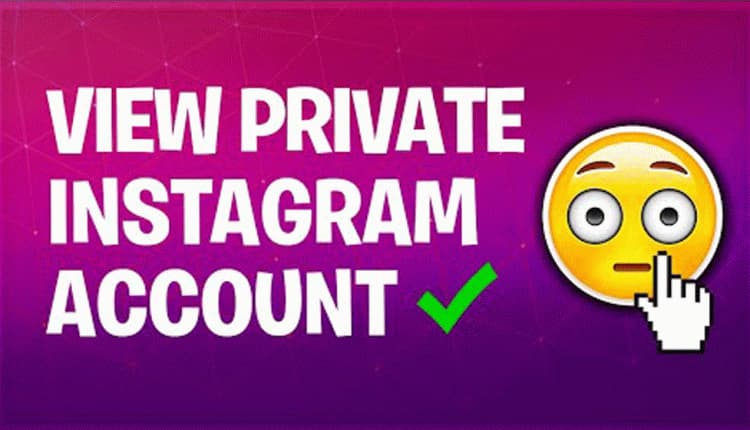 Tools to View Instagram Private Account Photos